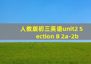 人教版初三英语unit2 Section B 2a-2b